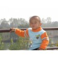 泗水縣實(shí)驗幼兒園