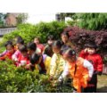 麻山紅太陽(yáng)幼兒園