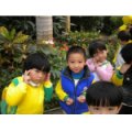 武漢(深圳)長(zhǎng)江九鼎幼兒園