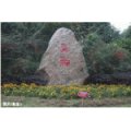 宜昌市西陵區(qū)學院街小學