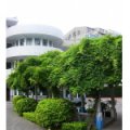 常州市盛毓度小學