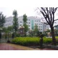 淄博市和平學校（小學部）
