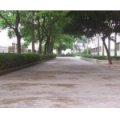 珠海市斗門區(qū)白蕉鎮(zhèn)中心小學