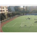 四川大學(xué)附屬實(shí)驗(yàn)小學(xué)（川大附?。?></a></dt>
      <dd>
      <p><a href=