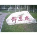 大同煤礦集團公司第一中學(xué)（同煤一中）