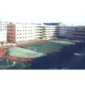 成都市成華實驗小學(xué)