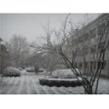 常州市武進區(qū)雪堰初級中學