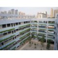 深圳市益強小學(xué)